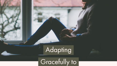 How do we adapt gracefully to this new normal?