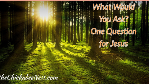 What One Question would you ask Jesus?
